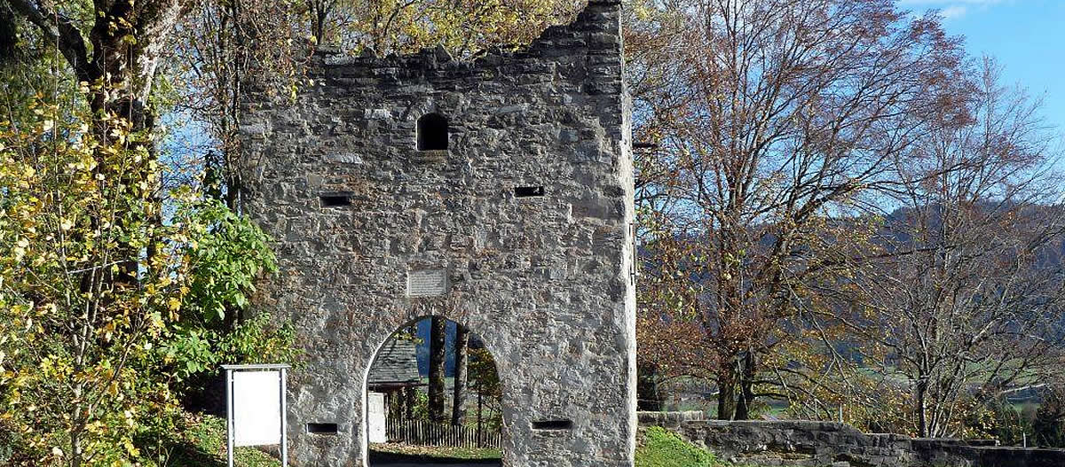 Burg Ruine Werdenstein